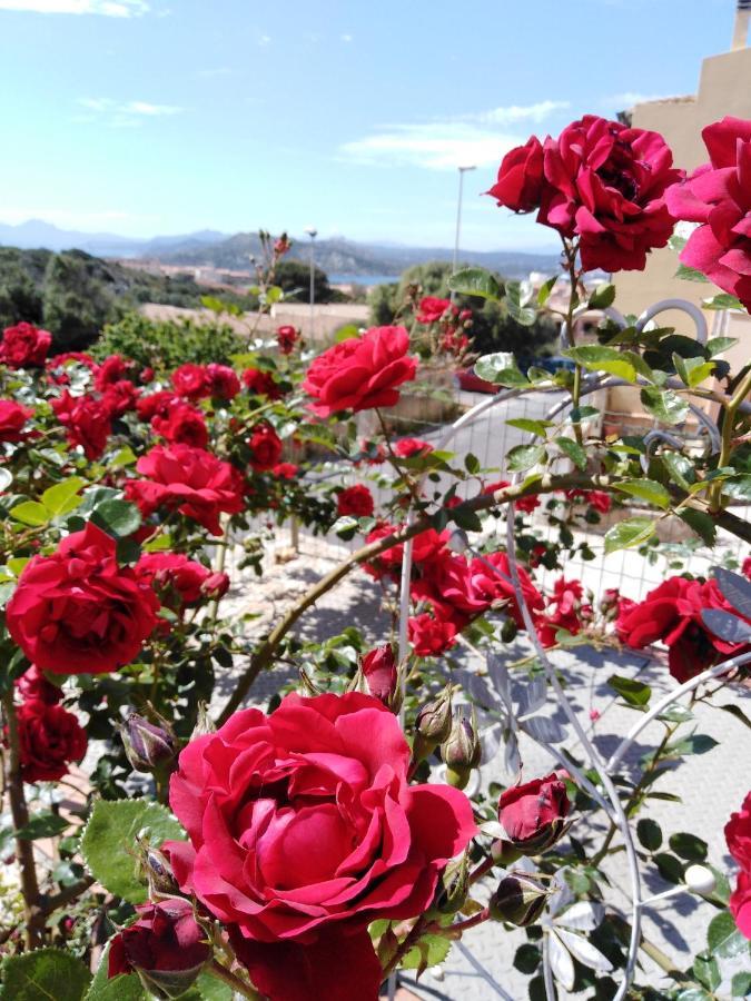 Bed and Breakfast The Roses Garden La Maddalena  Exterior foto