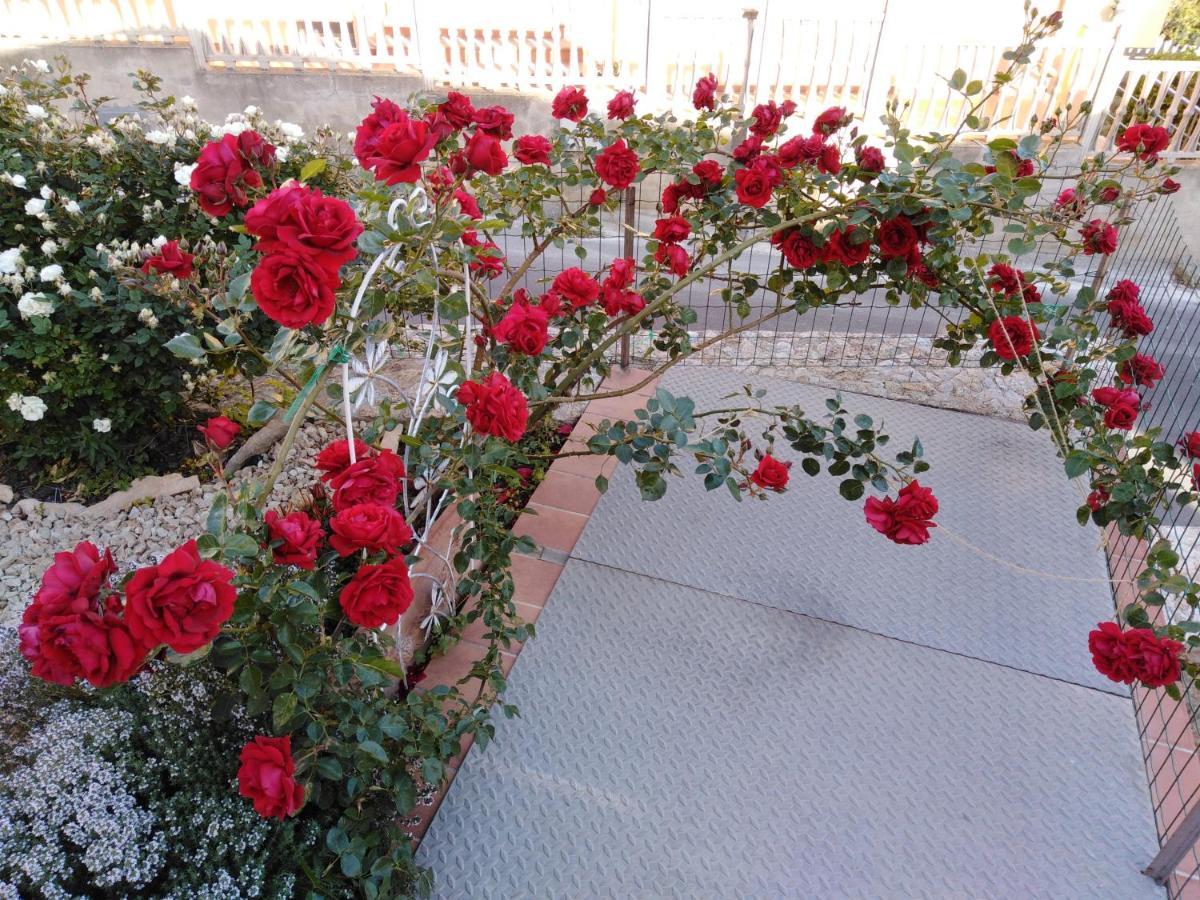 Bed and Breakfast The Roses Garden La Maddalena  Exterior foto